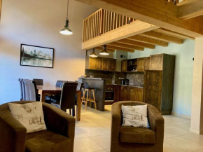 Spacieux duplex lumineux à 250m des pistes, animaux admis - FR-1-811-5 Les Deux Alpes